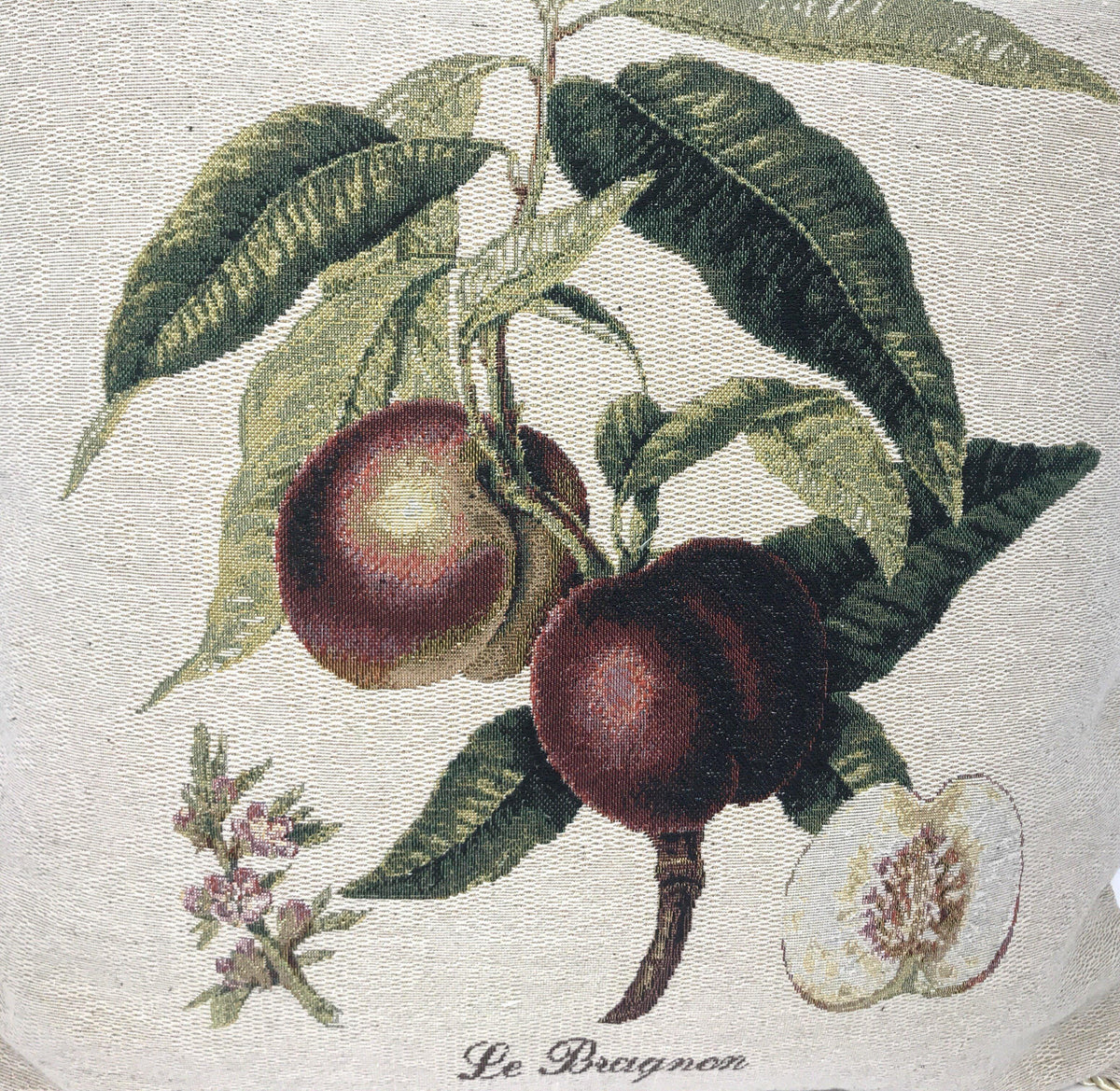 Set of 2, Nectarine Fruits Garden Throw Pillow Covers w/ Inserts