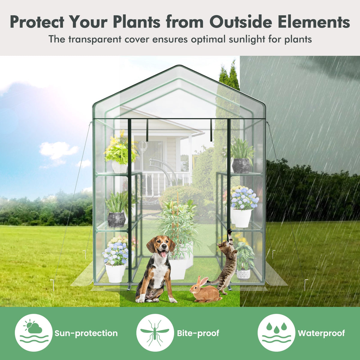 Walk-in Greenhouse with PVC Cover Roll-up Zippered Door